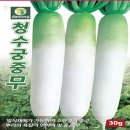 청수궁중무 이미지