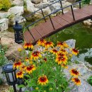 야생화정원펜션민박 이미지