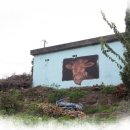 적성전통시장(버스 정류장) 이미지