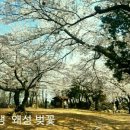 울산광역시 울주군서생면 진하리 해양관광개발 확정 및 31국도신개통 진하~기장 15분거리 등 주위 여러가지 미래투자 이벤트 많은 투자지역 이미지