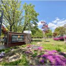 우면산6-9 이미지