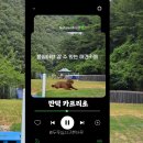 운동장 - 포항시 남구 새천년대로434번길 9 | 부산 만덕 애견동반 카페 카프리초｜실내동반·애견운동장 이용료 후기