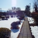 카이치 네이버블로그