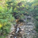 동화교 앞 이미지