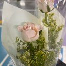 이비스앰배서더수원 이미지