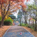 (주)남산 이미지