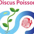 케이포닉스 이미지