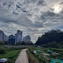 당샘내과의원 이미지