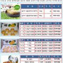 신안늘푸른농원