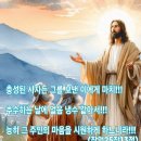 오늘의 성경 한구절 이미지