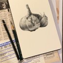 함께 그리는 색연필 일러스트 | [공지] 김해취미미술화실 &#39;모라 봉황&#39;안내ㅣ커리큘럼 ㅣ수업시간표 ㅣ 수강료 ㅣ김해미술학원
