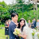 전보미 카카오 검색결과