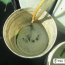 카젠오정점 이미지