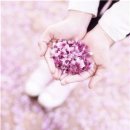 스테이 봄 이미지