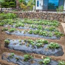 에코힐링민박 이미지