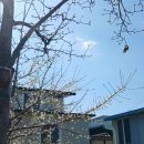 첨단기업로2R(2)-21 | 직관후기 : 2026 K리그1 2R 광주FC-인천유나이티드