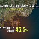 생굴 위험하겠는데 노로 검출률 45%래 이미지