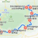 8월8일(목)~8월12일(월) 숲길따라 한라산둘레길 트레킹 & 제주감성여행 이미지