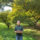 충주과일 연합뉴스