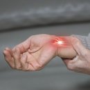 반야월로 이미지