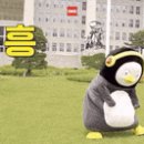 바람아래관광농원 이미지