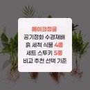 플라워피아 - 의정부시 평화로 363 | 메이크정글 공기정화 수경재배 흙 세척 식물 4종 세트 스투키 5종 비교 추천 선택 기준