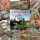 영덕행복마을 이미지