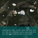 우리실내낚시터 이미지