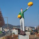 참외원협 제2 APC | 제목 변경에 따른 스마트 스토어 노출 순위 변동 (보너스 성주 참외 밭 구경)