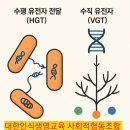 도서정보네트워크 | 허리세운유인원 도서후기