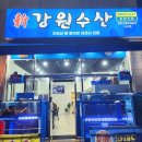 신강원수산 | 일산 파주 맛집 산지직송 저렴한 자연산 제철 회 해산물 신강원수산