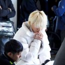 넷플레어 이미지