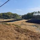 민원농장 이미지