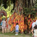 베이동물병원 | 나트랑 가족여행 양베이폭포 투어 일정 예약 이색 후기