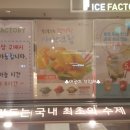 수내아이스캔디