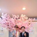 하모니카 주간 이미지