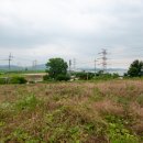 위즈 공인중개사사무소 이미지