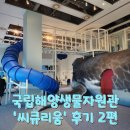 산매동 마을쉼터 어린이놀이터 | 충남서천여행] 국립해양생물자원관 ‘씨큐리움’ 방문 후기 2편 (매점 및 카페, 고래고래 놀이터 이용후기)