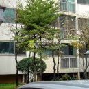 용구대로 2771번길 이미지