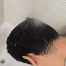 더뉴본 | 모에타더뉴힐링스 트리트먼트 실제로 써본 후기