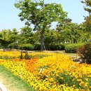 황룡강변2 이미지