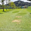 부강생활체육공원 이미지