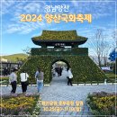 양산 국화 축제 황산공원 이미지