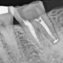 전진 치과의원 이미지