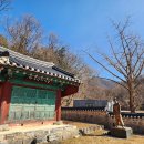 바우덕이(김암덕)묘 | 바우덕이사당 남사당패 조선 유일의 여성 꼭두쇠 경기도 여행 안성 가볼만한 곳