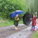 화홍고등학교 이미지