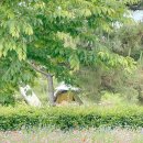 씨사이드파크 카라반캠핑장화장실 이미지