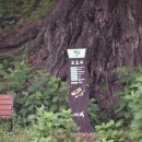 상안주유소 이미지