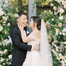 puppy lounge 이미지