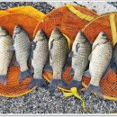 성호낚시터 이미지